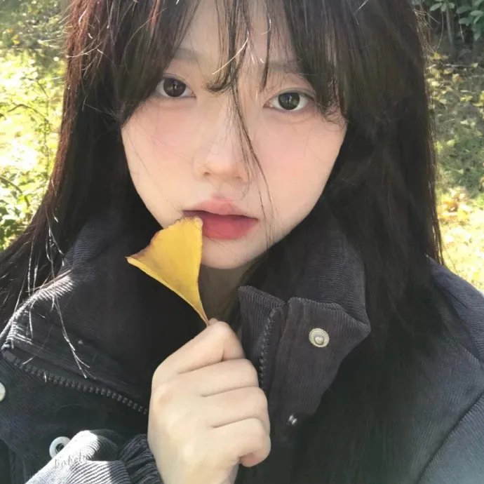 人鱼小姐