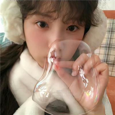 斑马头